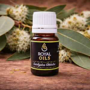 Eucalyptus Globulus Essential Oil